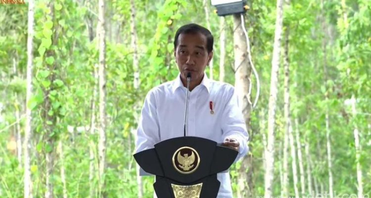 Jokowi Groundbreaking Nusantara Superblock, Investor Kaltim Suntik Rp 3 T