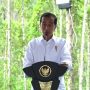Jokowi Groundbreaking Nusantara Superblock, Investor Kaltim Suntik Rp 3 T
