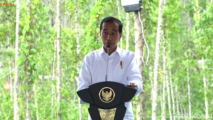 Jokowi Groundbreaking Nusantara Superblock, Investor Kaltim Suntik Rp 3 T