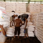 Pupuk Indonesia Pastikan Pupuk Bersubsidi Hanya Bisa Ditebus di Kios Resmi