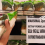 Ini Alasan Aprindo Batasi Pembelian Gula di Toko Ritel