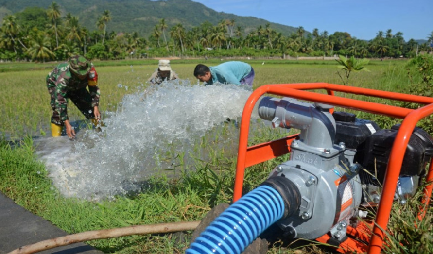 Solusi bagi Pemerintah untuk Jaga Produktivitas Pertanian
