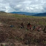 Penerapan Bioteknologi Benih Jadi Kunci Hadapi Krisis Pangan
