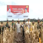 Jokowi Sudah Gelontorkan Rp 954 Triliun untuk Ketahanan Pangan
