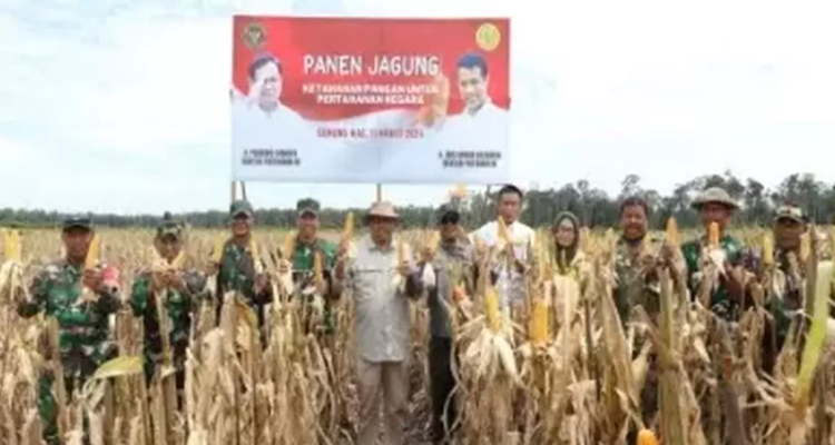 Jokowi Sudah Gelontorkan Rp 954 Triliun untuk Ketahanan Pangan