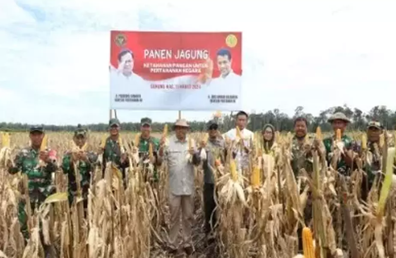 Jokowi Sudah Gelontorkan Rp 954 Triliun untuk Ketahanan Pangan