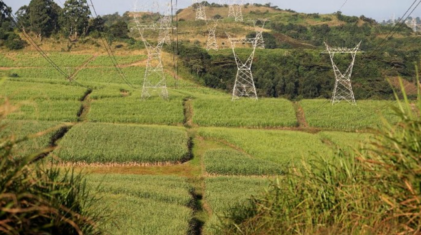 Amankan Stok Beras RI 80 Tahun, Prabowo Mau Cetak 3 Juta Ha Sawah Baru