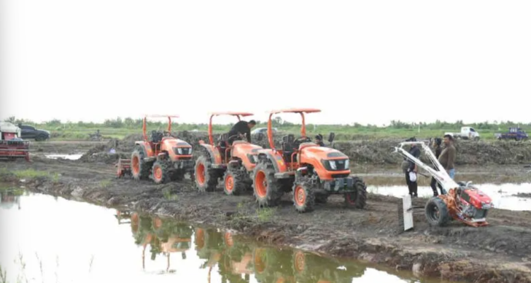 Kementan Percepat Swasembada Pangan Lewat Cetak Sawah-Oplah