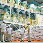 Pemerintah Pastikan Tahun 2025 Jadi Pencapaian Bersejarah Swasembada