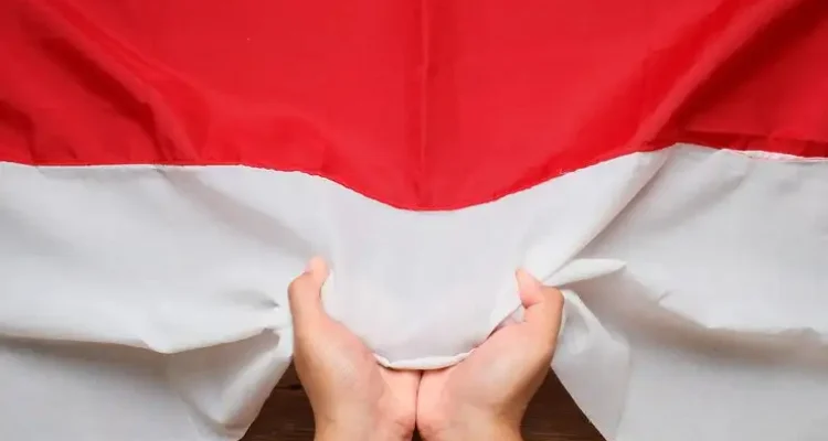 Ilustrasi kesakralan bendera merah putih melawan bendera bajak laut
