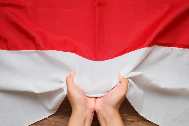 Ilustrasi kesakralan bendera merah putih melawan bendera bajak laut