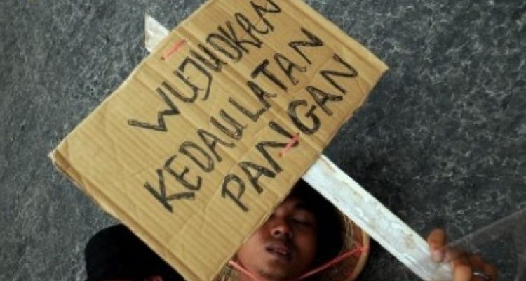 ilustrasi kedaulatan pangan
