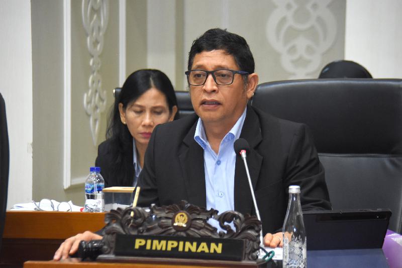Ketua Badan Legislasi (Baleg) DPR RI, Bob Hasan.