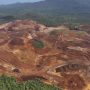 Hutan di Pulau Gag Papua Barat Gundul Imbas Tambang Nikel. (Foto: Auriga Nusantara via AP)