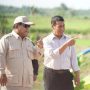 Hentikan Impor Beras, Indonesia Siap Swasembada Pangan Akhir 2025