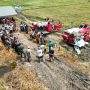 cetak sawah papua